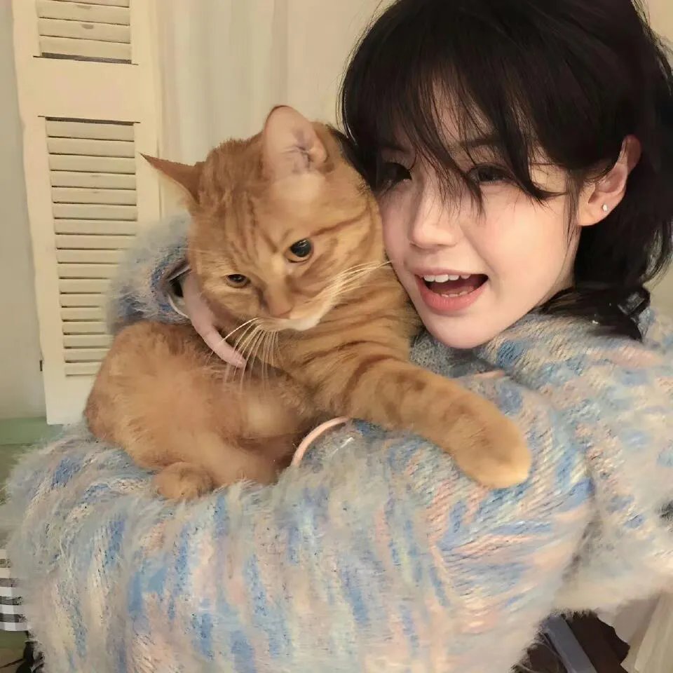 逆袭之逐梦九霄